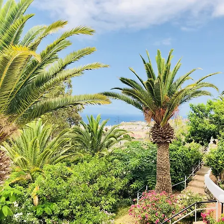 Regency Torviscas And أذيخي