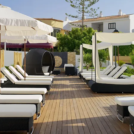 Regency Torviscas And أذيخي