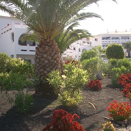 Aparthotel Regency Torviscas And 3*